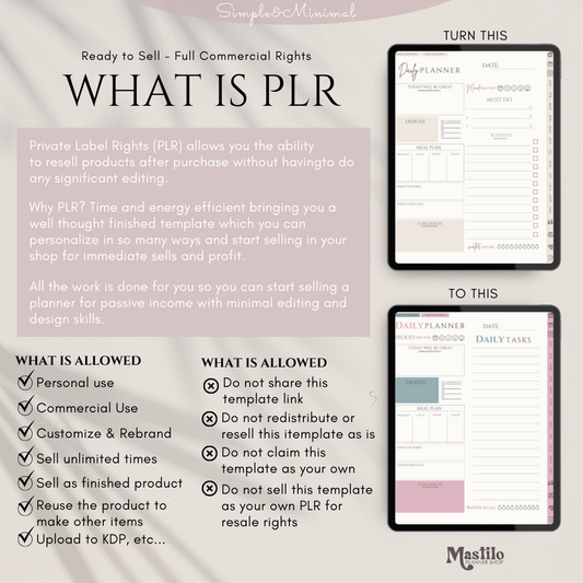 PLR Digital Planner, Editable Canva Planner Template